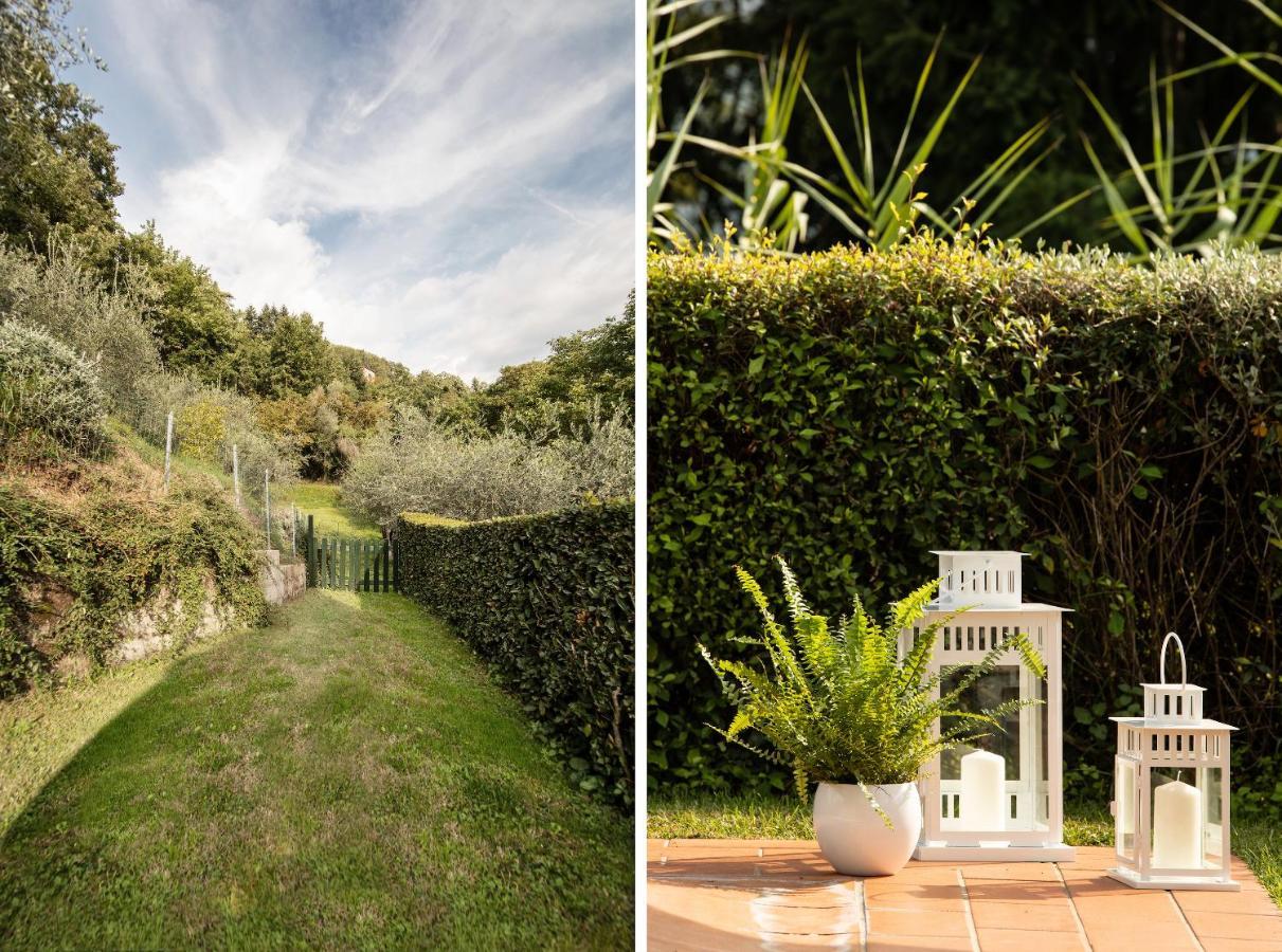 Casetta Di Butia, Appartamento Iris ลุคคา ภายนอก รูปภาพ