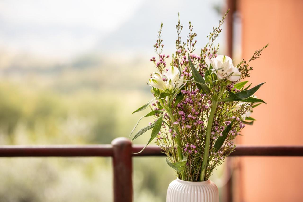 Casetta Di Butia, Appartamento Iris ลุคคา ภายนอก รูปภาพ