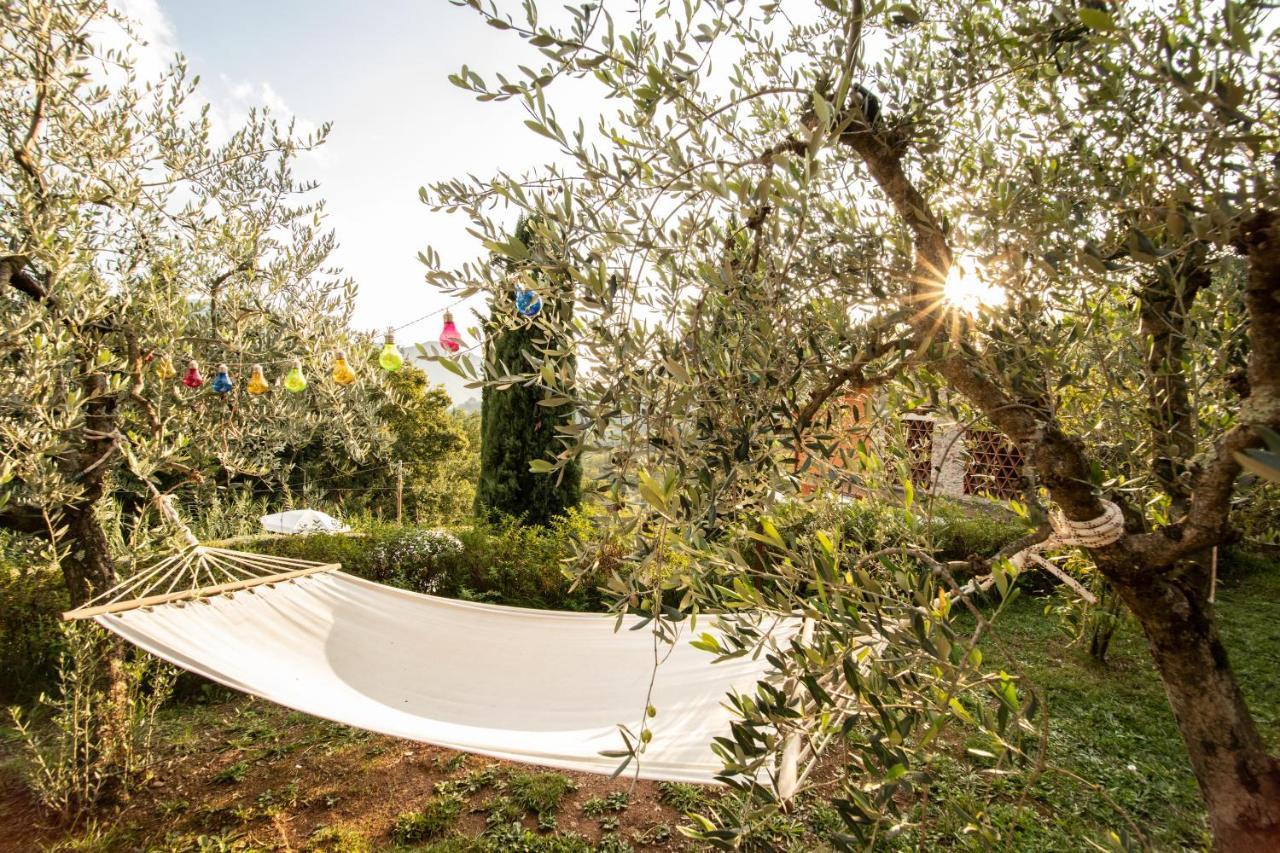 Casetta Di Butia, Appartamento Iris ลุคคา ภายนอก รูปภาพ